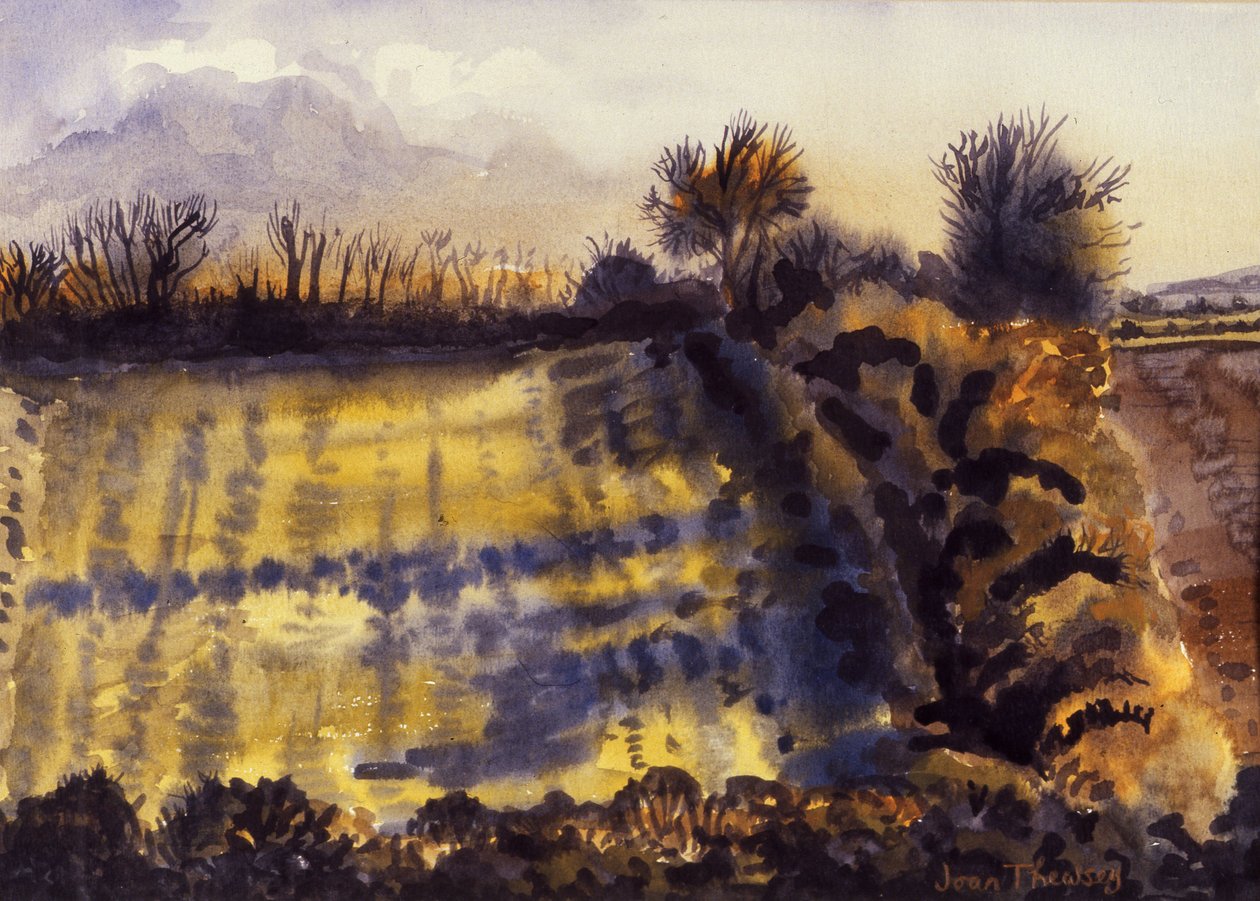 Campo con Sombras Largas, 1990 de Joan Thewsey