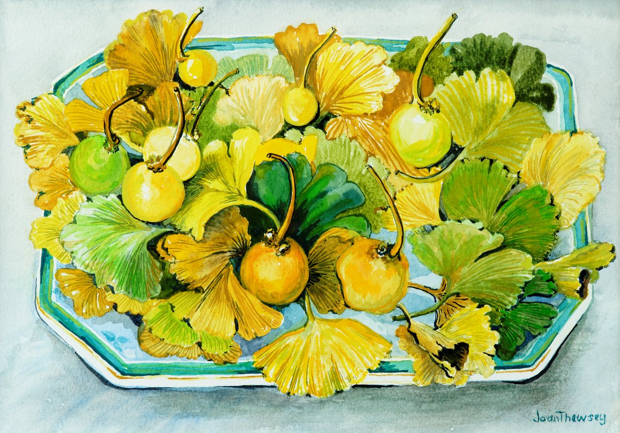 Ginkgo, fruto y hojas de Joan Thewsey