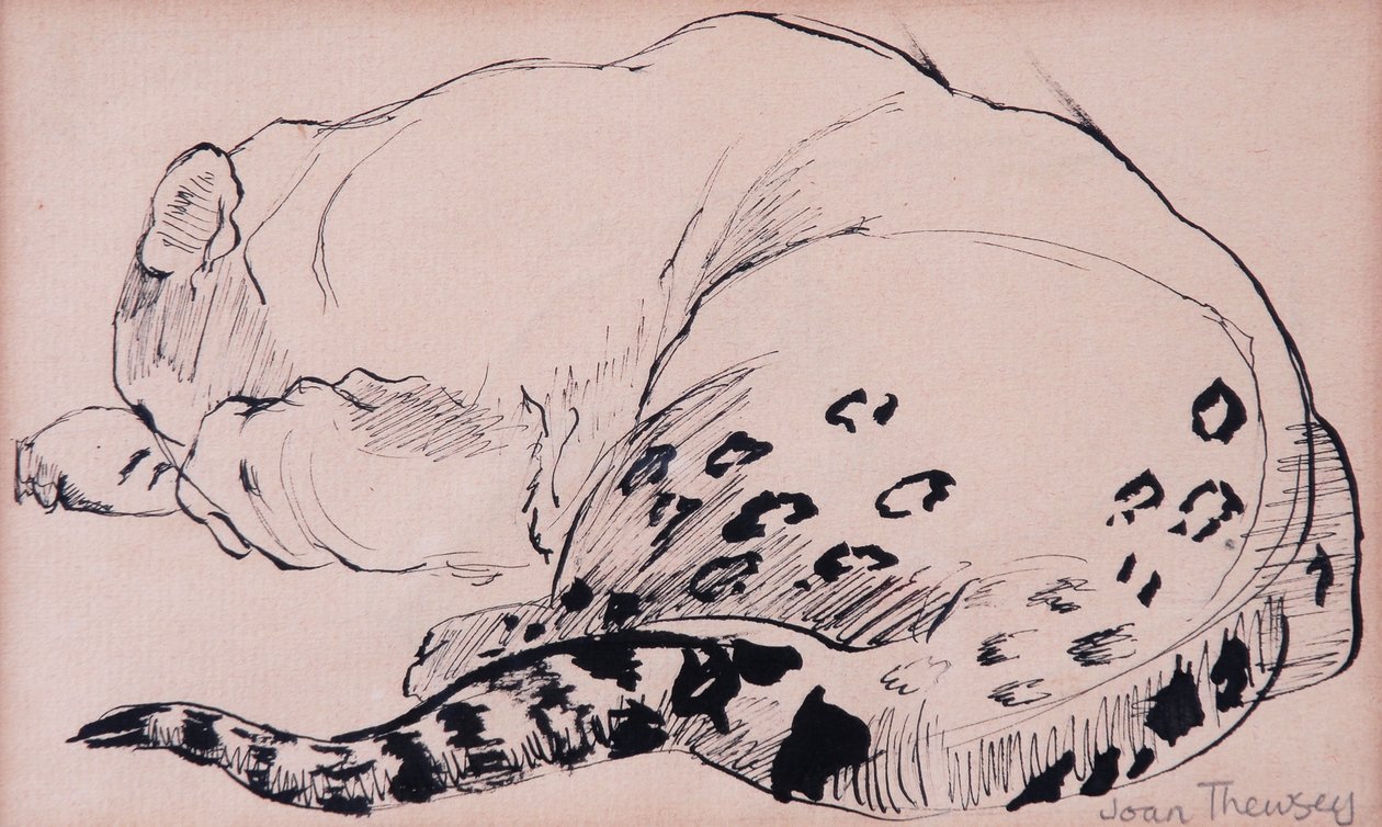Boceto, leopardo, zoológico de Londres 2005 de Joan Thewsey