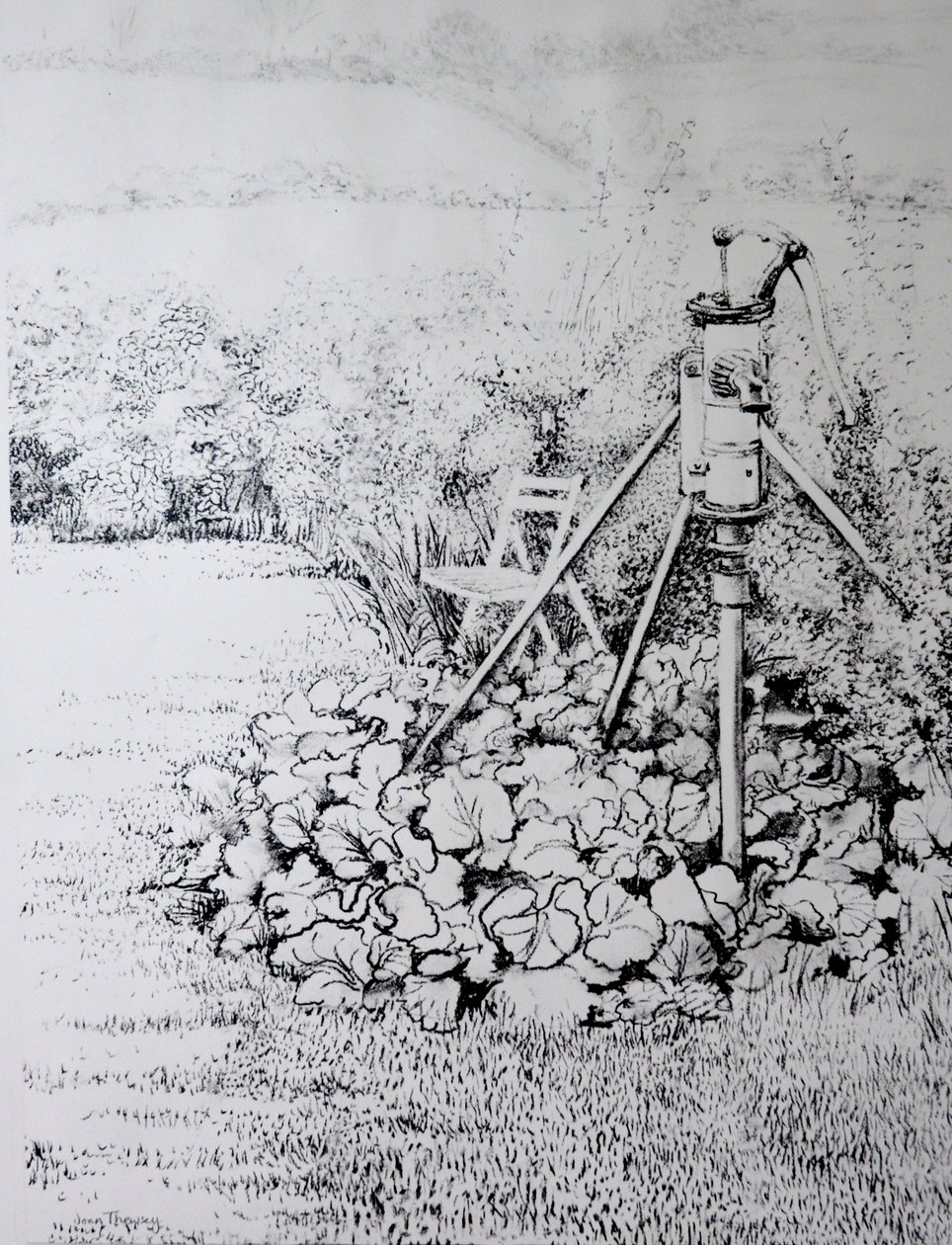 La bomba del jardín, 1973 de Joan Thewsey
