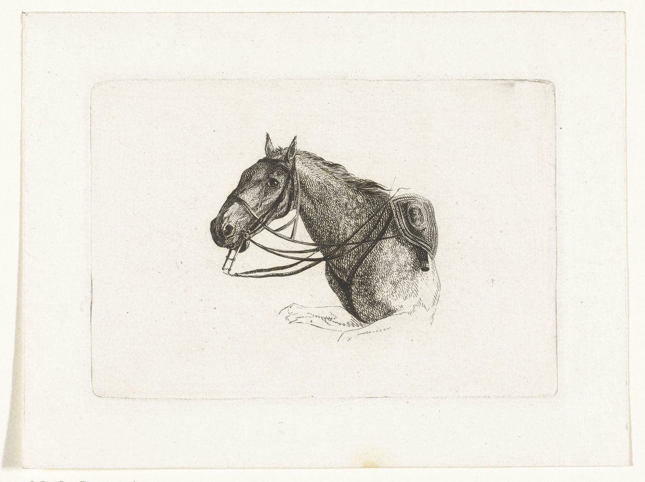 Cabeza de caballo a la izquierda Cabezas de caballo después de Dirk Langendijk (título de la serie) de Joannes Bemme