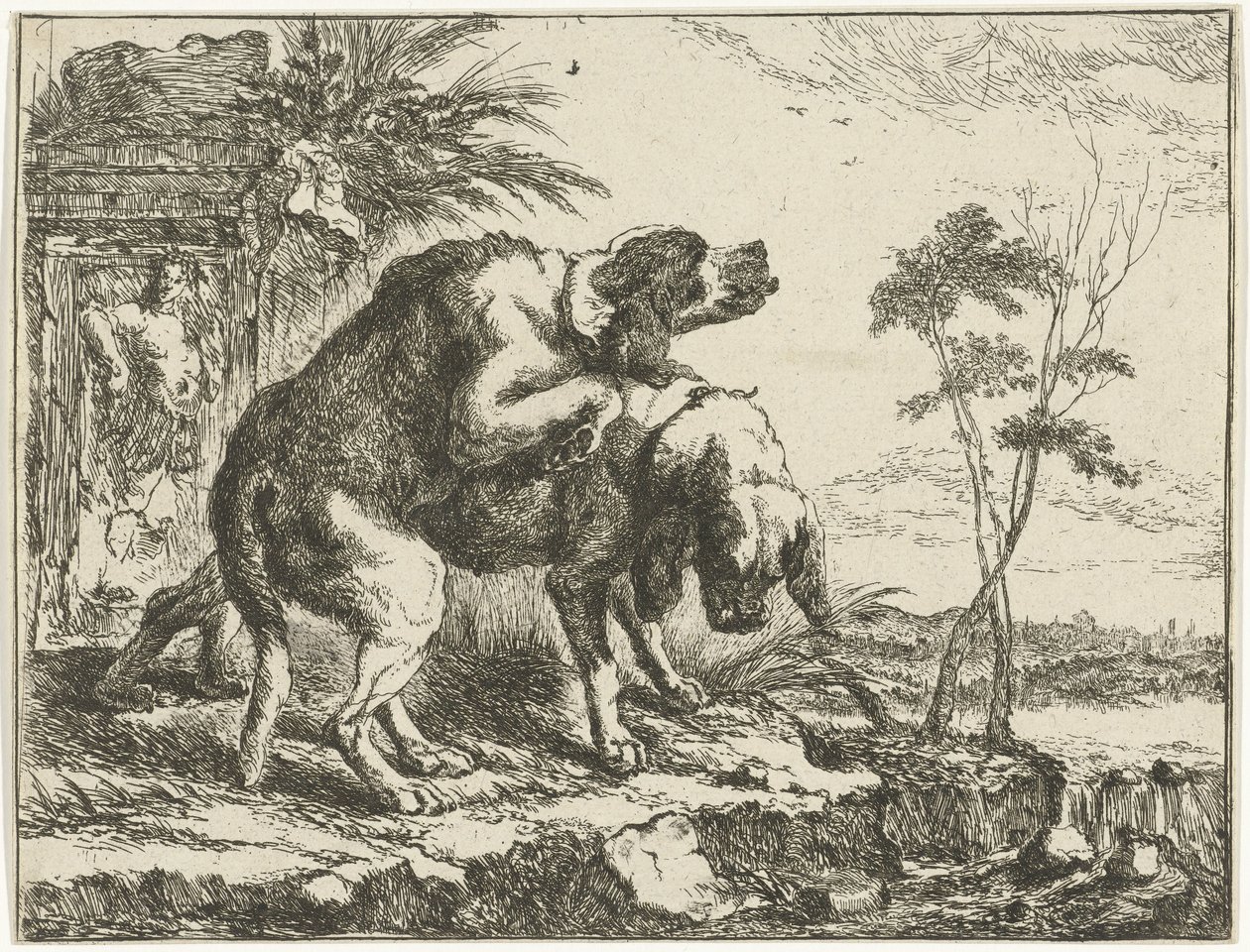 Dos perros de apareamiento Perros (título de la serie) de Joannes Fijt