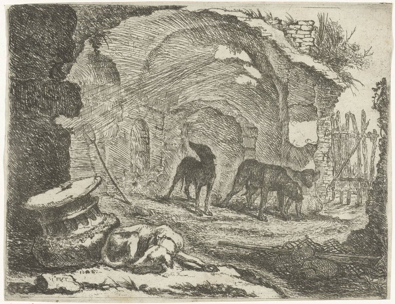 Cuatro perros en una ruina Perros (título de la serie) de Joannes Fijt