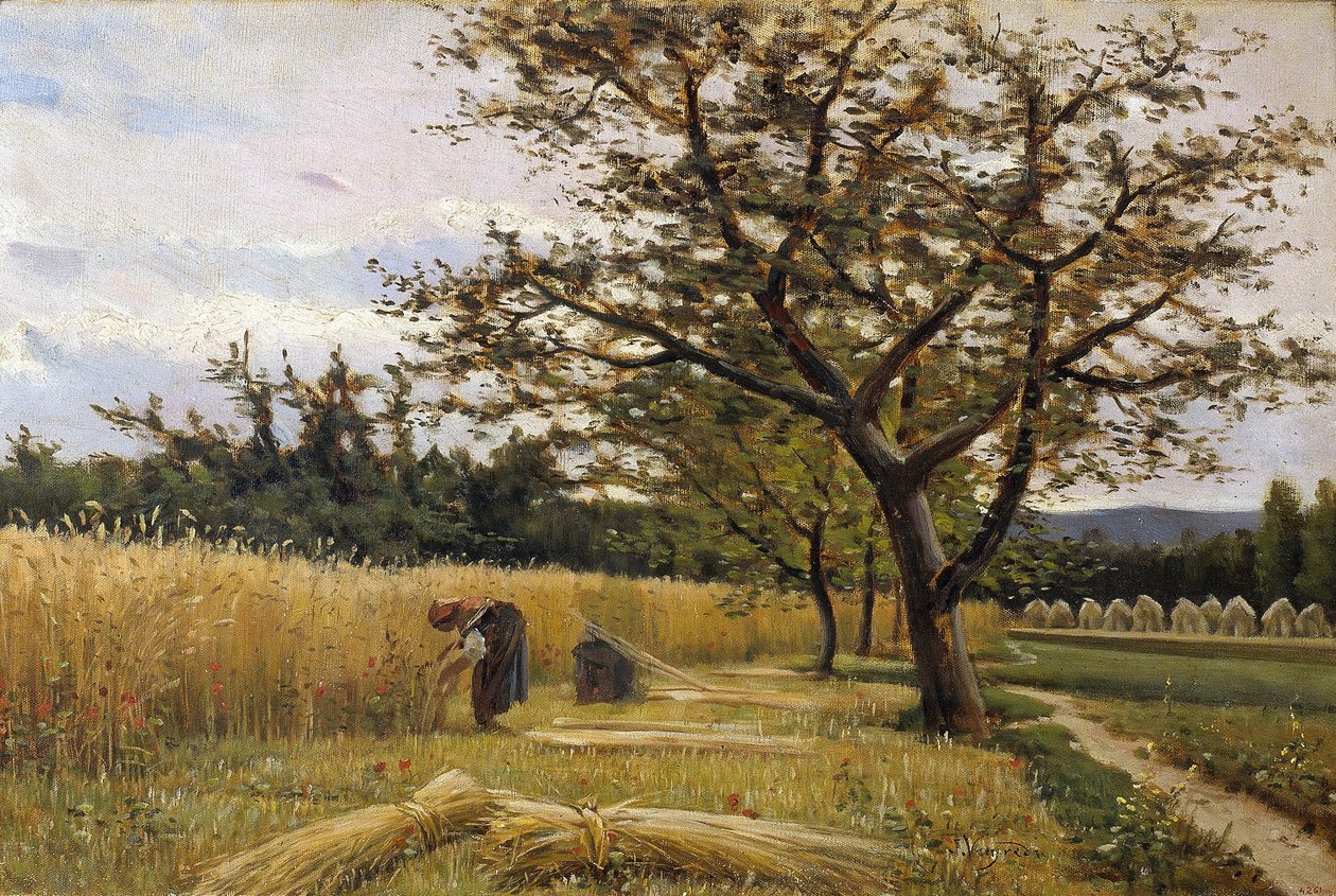Cosecha de Joaquim Vayreda