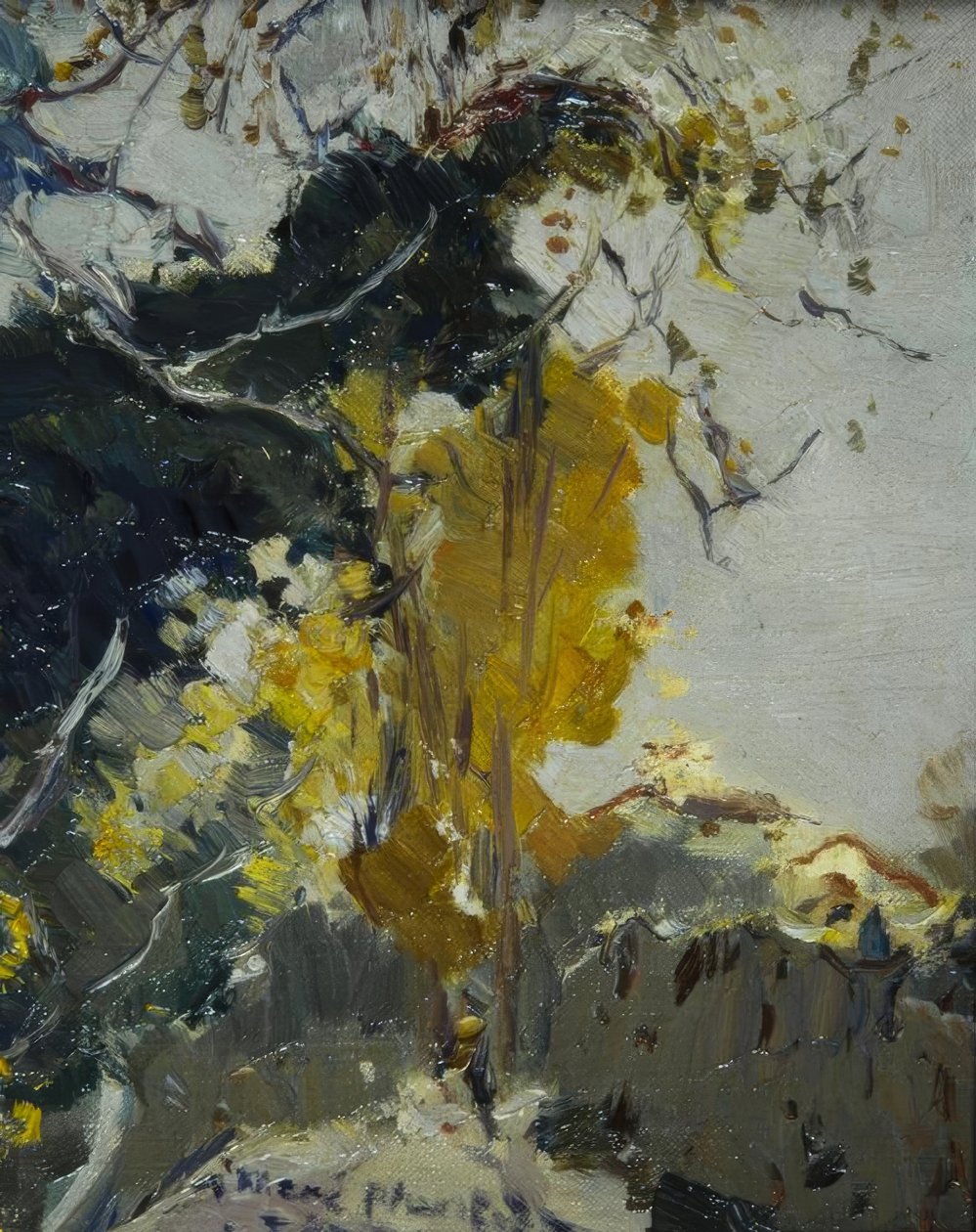 Árbol de Joaquim Mir i Trinxet