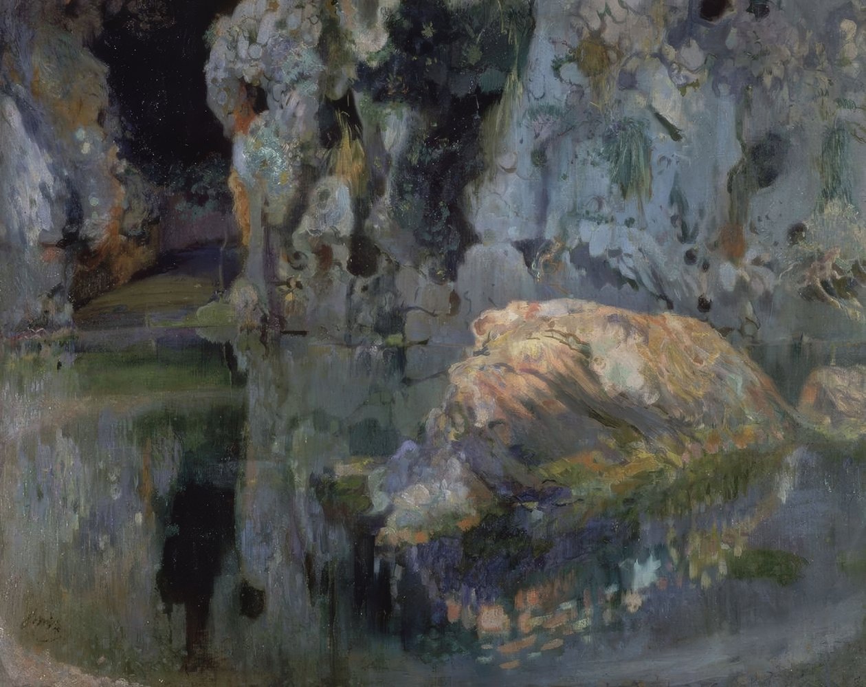 El roc del estanque de Joaquim Mir i Trinxet