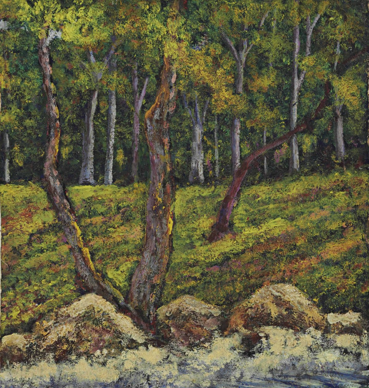 El bosque de Joaquín Clausell