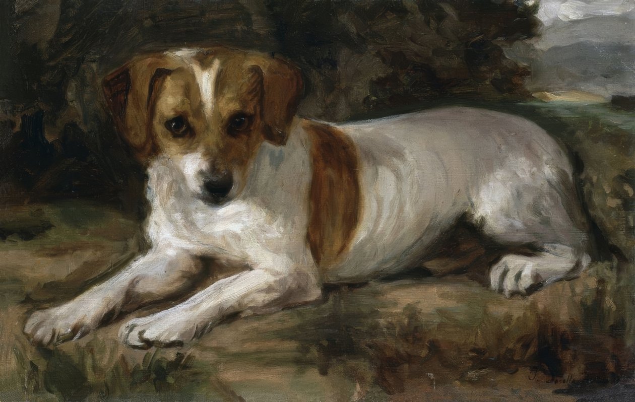 Perro de Joaquín Sorolla