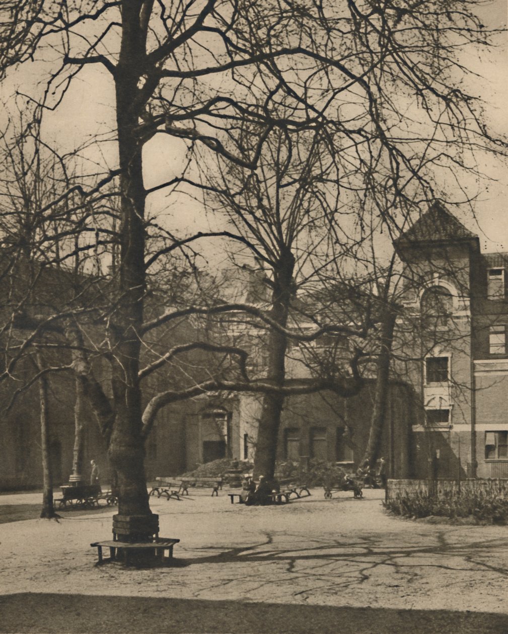 Bajo los olmos en el patio del Hospital Middlesex, c. 1935 de Joel