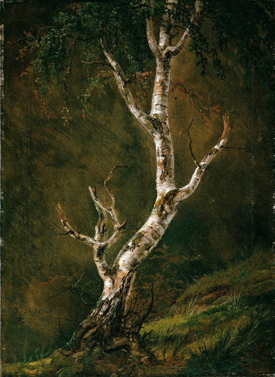 Estudio de un Abedul de Johan Christian Dahl