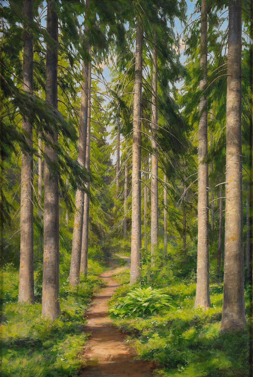 Sendero forestal iluminado por el sol de Johan Fredrik Krouthen