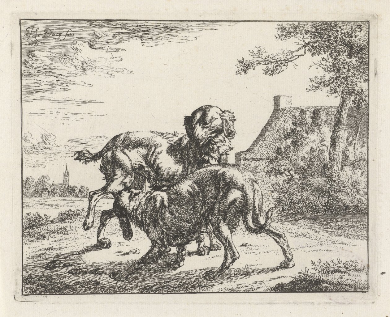 Perro y perra de Johan le Ducq