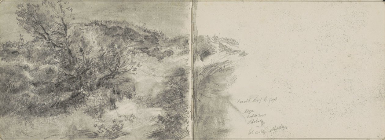 Paisaje de dunas de Johan Antonie de Jonge