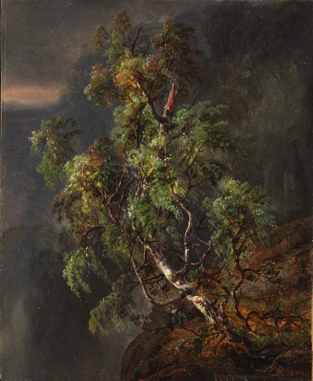 Abedul en tormenta de Johan Christian Dahl