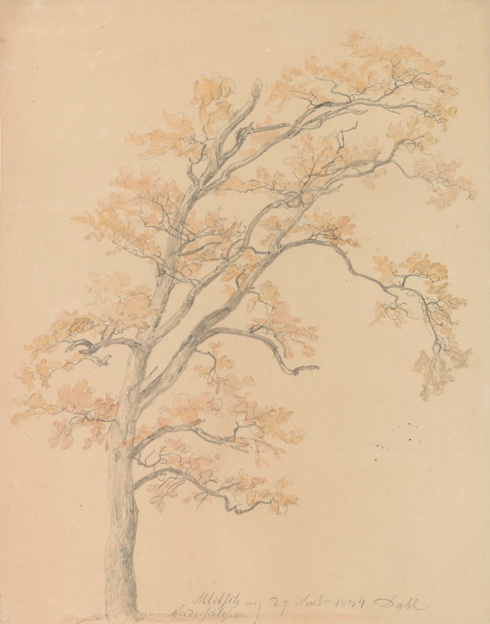 Robles con hojas de otoño, Milicz de Johan Christian Dahl