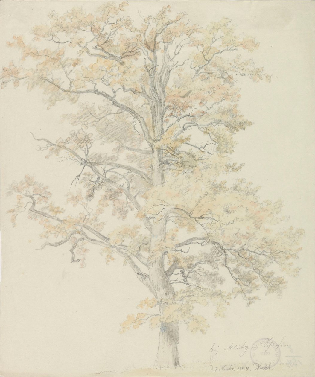 Robles con hojas de otoño, Milicz de Johan Christian Dahl