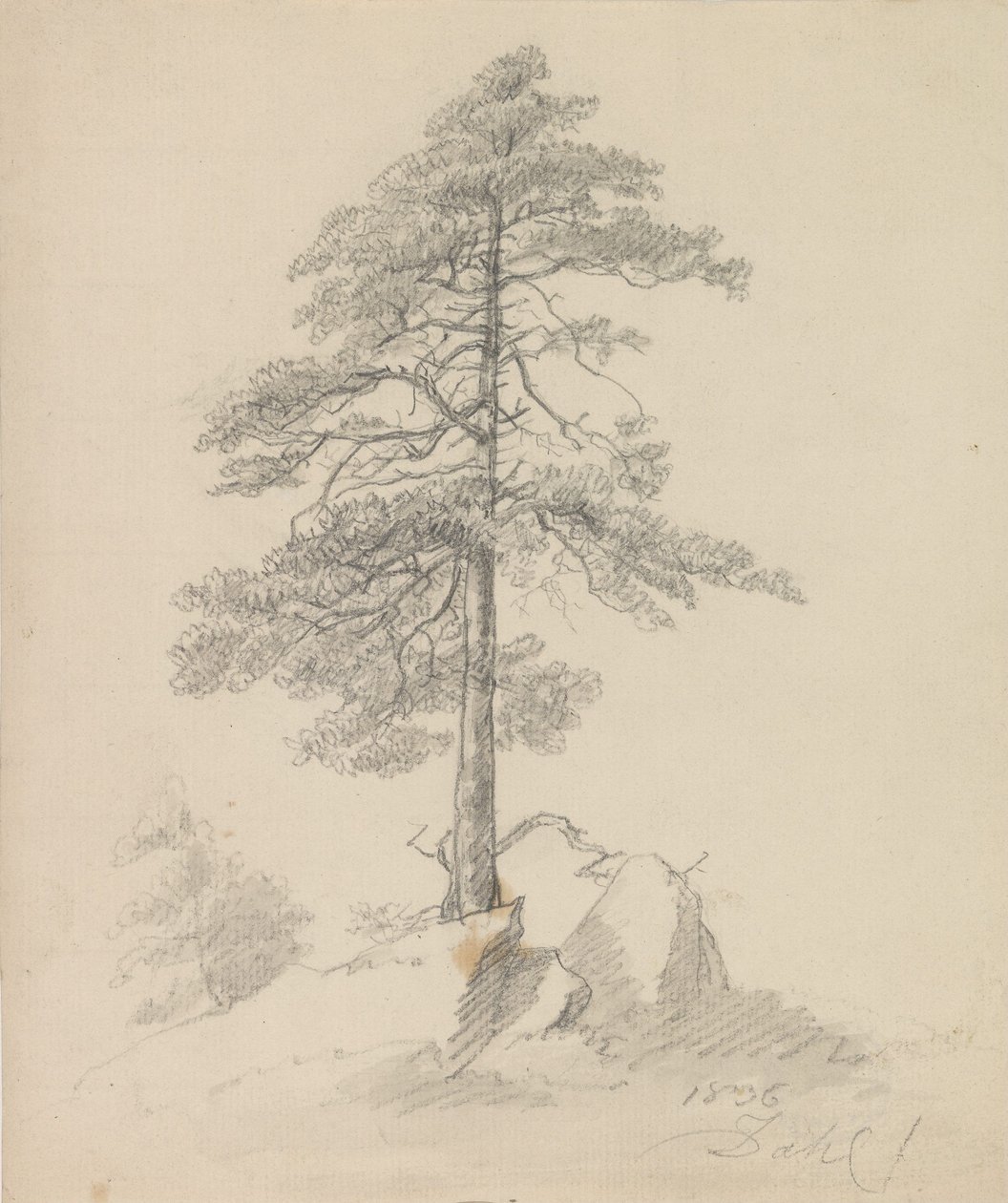 Pinos y acantilados de Johan Christian Dahl