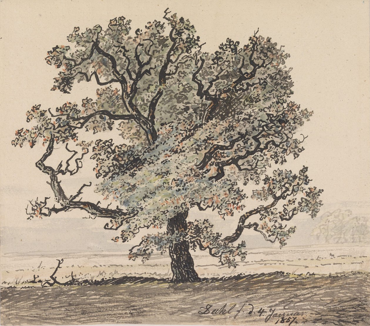 Pino en la llanura de Johan Christian Dahl
