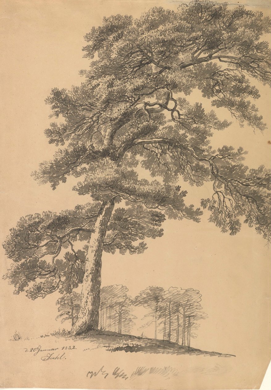 Pino de Johan Christian Dahl