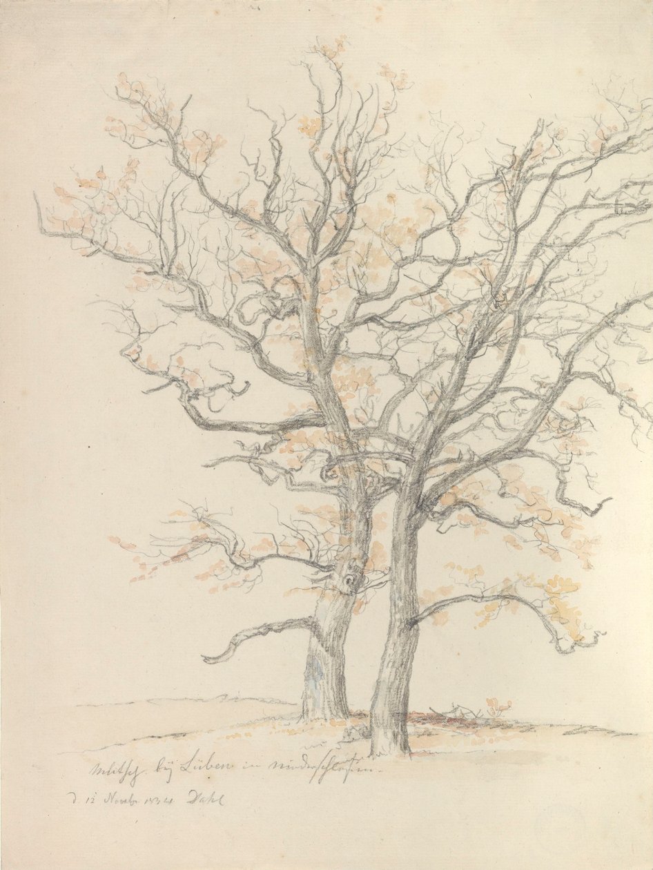 Dos robles de Johan Christian Dahl