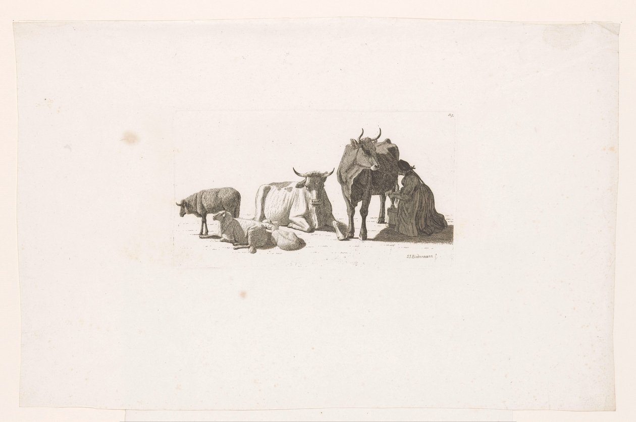 Mujer ordeñando una vaca, con vacas y ovejas. de Johan Jakob Biedermann