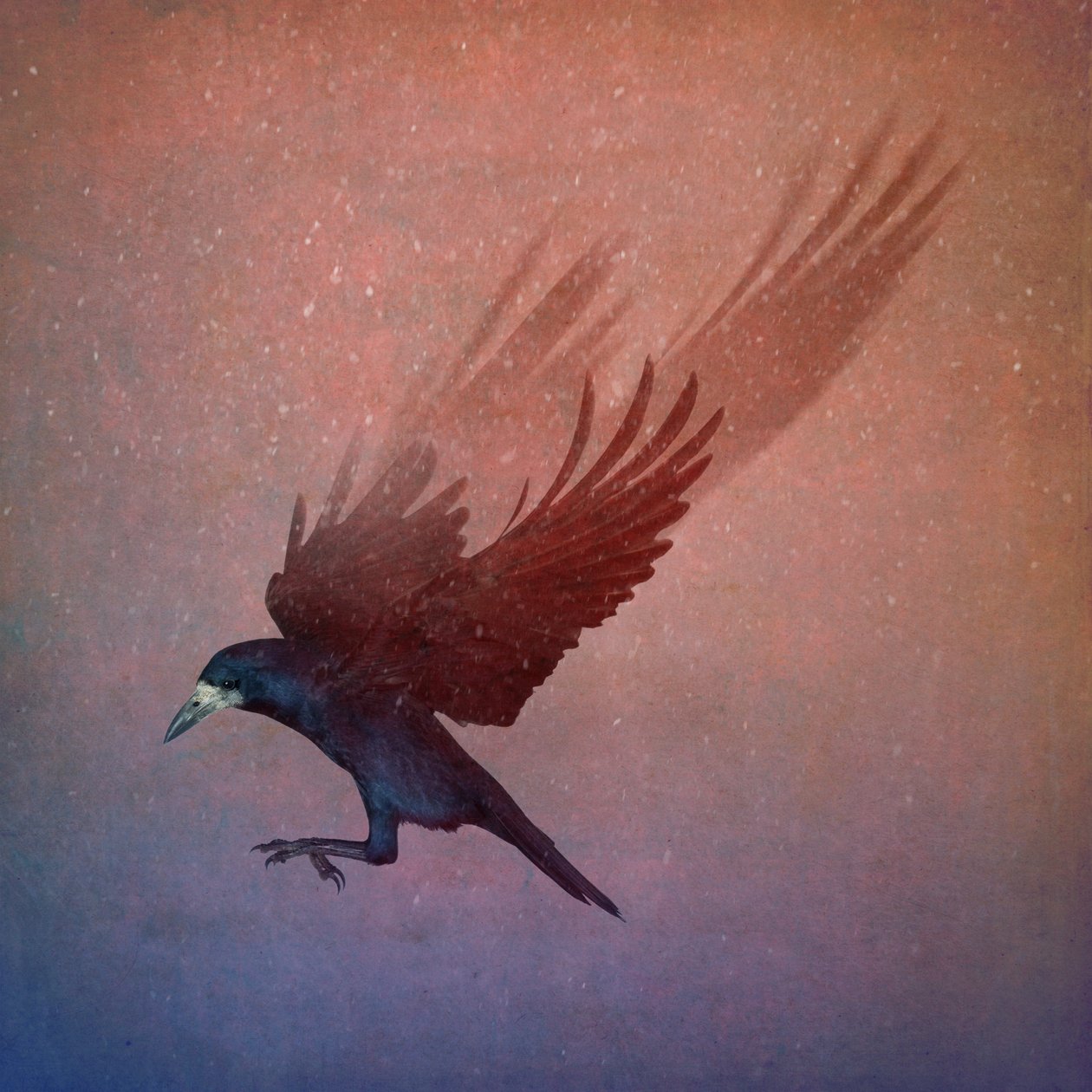 Bird Kingdom, 2018 (arte fotográfico) de Johan Lilja