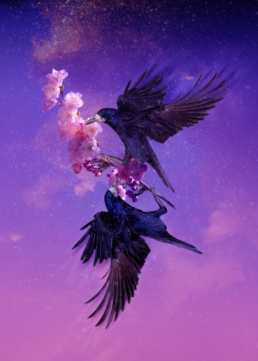 Bird Kingdom 5, 2018 (arte fotográfico digital) de Johan Lilja