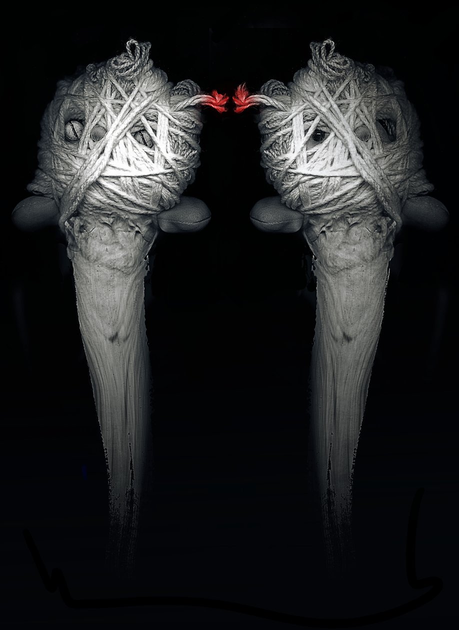 Hermanos, 2013 (fotografía) de Johan Lilja