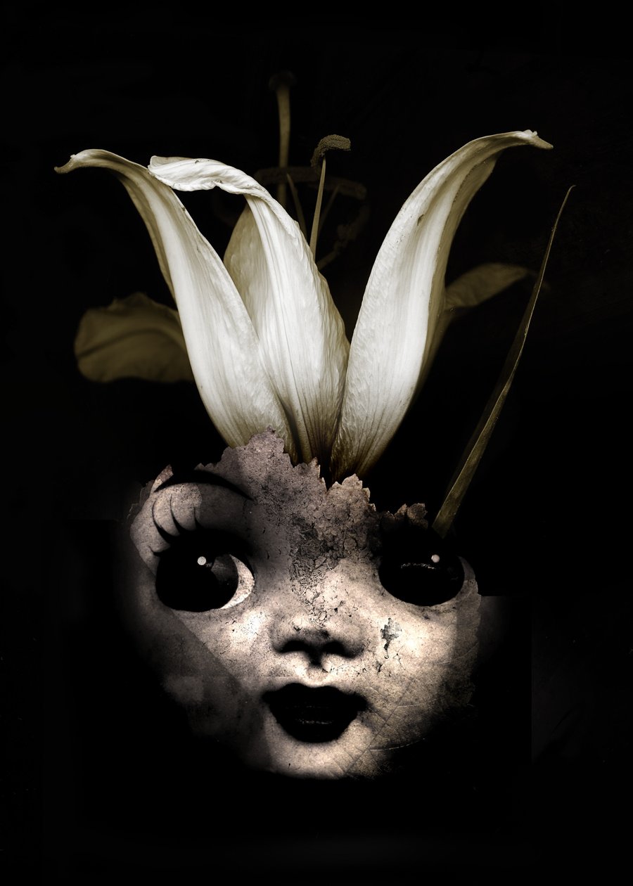 Flor de muñeca, 2013 (fotografía) de Johan Lilja