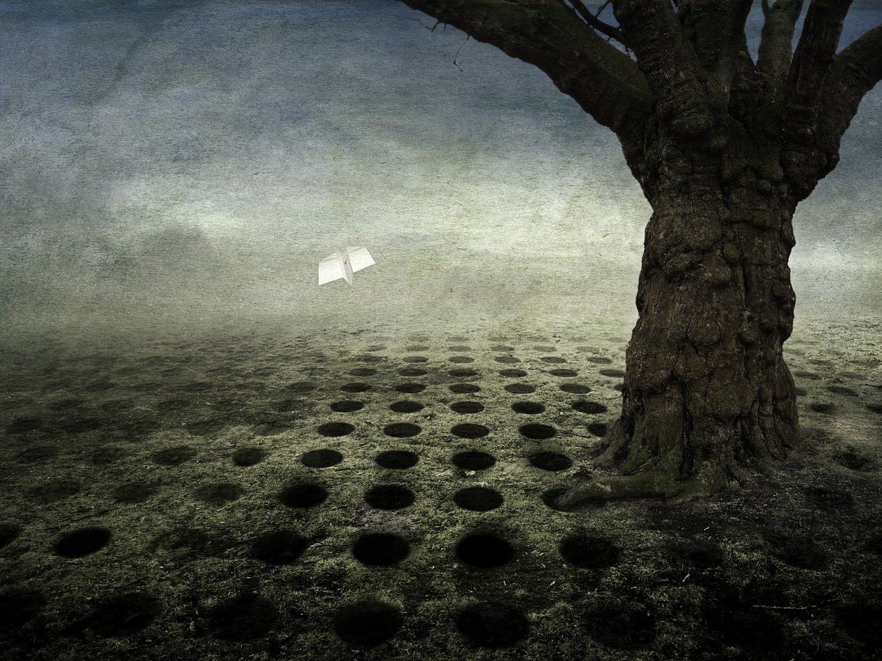 Agujeros vacíos, 2014 (fotografía) de Johan Lilja