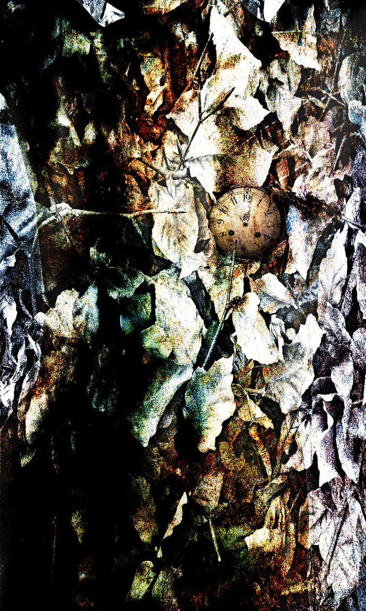 Corazón, 2012 (manipulación de fotos) de Johan Lilja