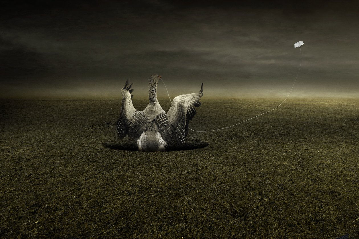 Ayuda en camino, 2013 (fotografía) de Johan Lilja