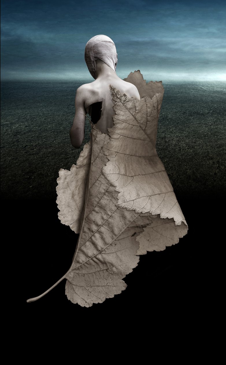 Hurt, 2015 (fotografía) de Johan Lilja