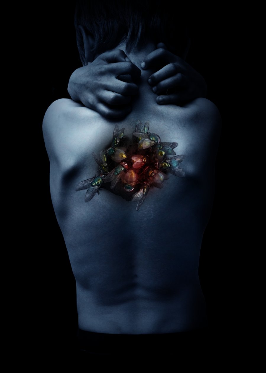 La mosca, 2018 (foto) de Johan Lilja