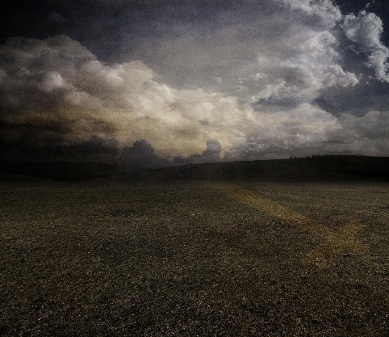 Tulipán, 2015 (fotografía) de Johan Lilja