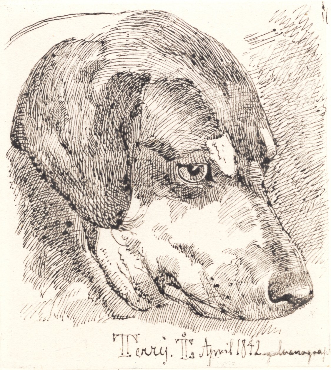Danés: Cabeza de perro, Terry de Johan Lundbye