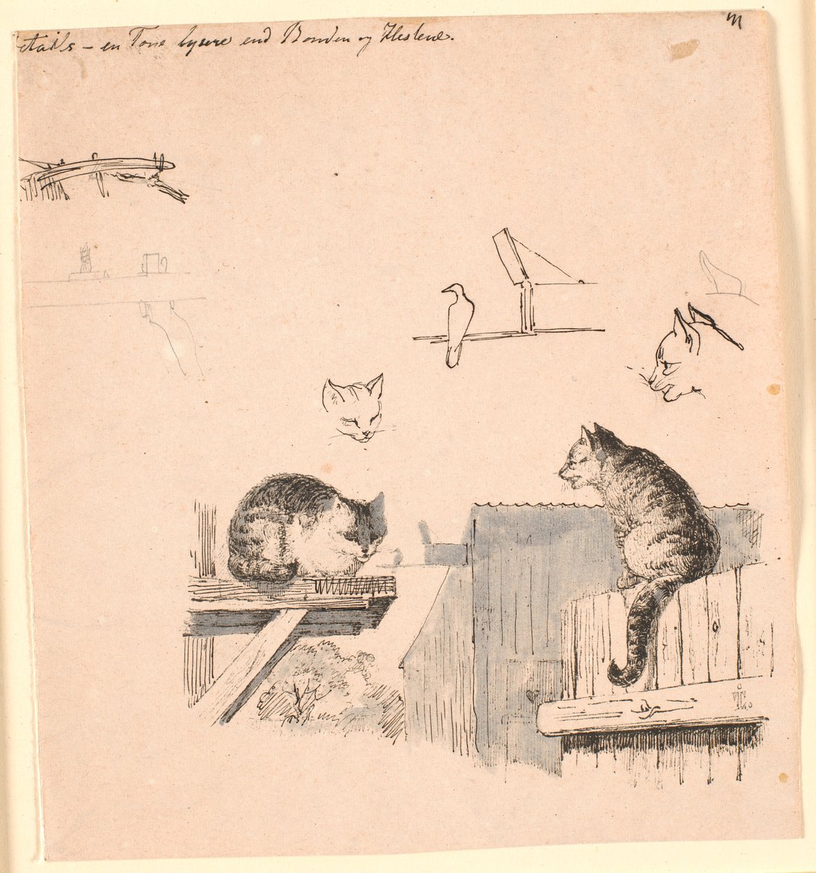 Los dos gatos. Estudios de cabezas de gatos, un pájaro, una oreja de gato y estructura de vigas. Ilustración para "Fábulas para niños" de Kaalund. Ver comentario del catálogo de archivos. de Johan Thomas Lundbye