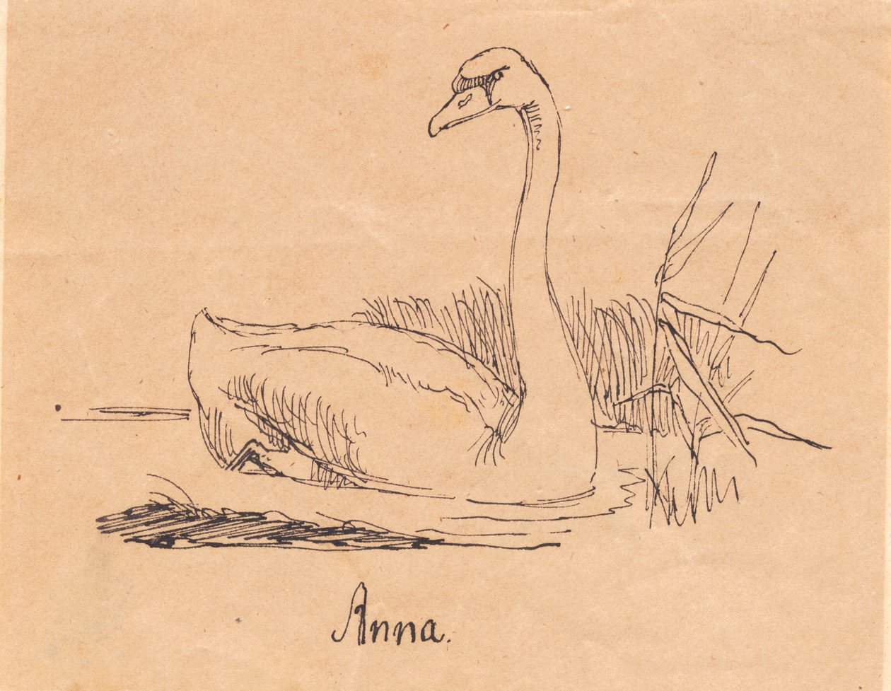 Un Cisne de Johan Thomas Lundbye
