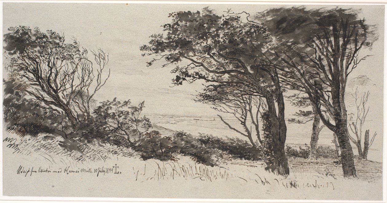 Árboles azotados por el viento. Vejrhøj de Johan Thomas Lundbye