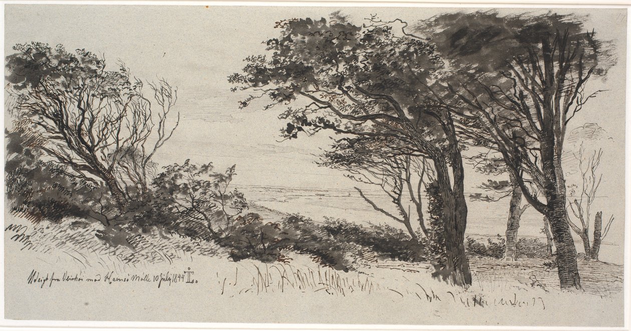 Árboles azotados por el viento. Vejrhøj de Johan Thomas Lundbye