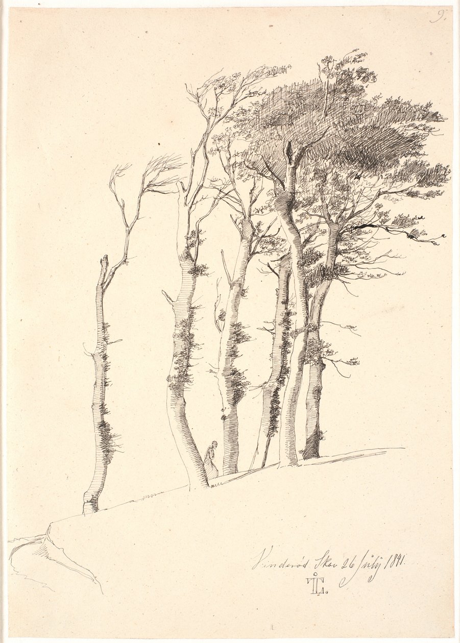 Grupo de árboles azotados por el viento de Johan Thomas Lundbye