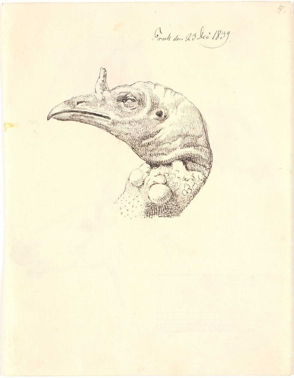 Cabeza de una pava muerta de Johan Thomas Lundbye