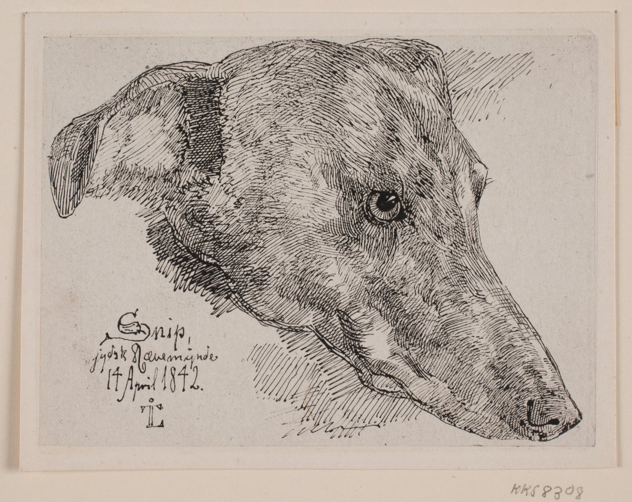 Cabeza de perro, Snip de Johan Thomas Lundbye