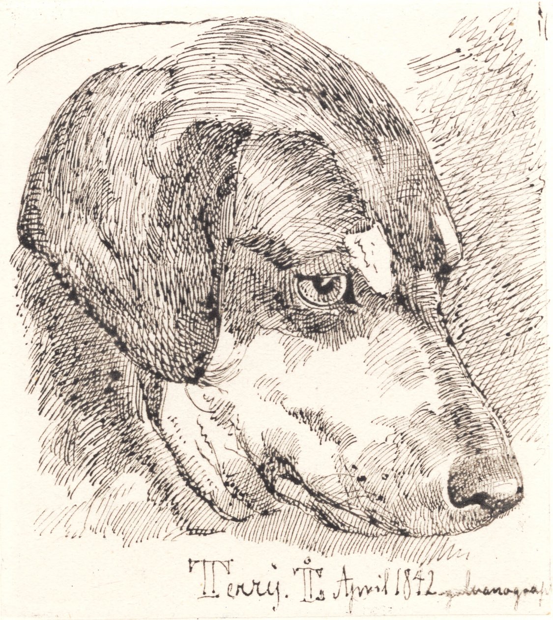 Cabeza de perro, Terry de Johan Thomas Lundbye
