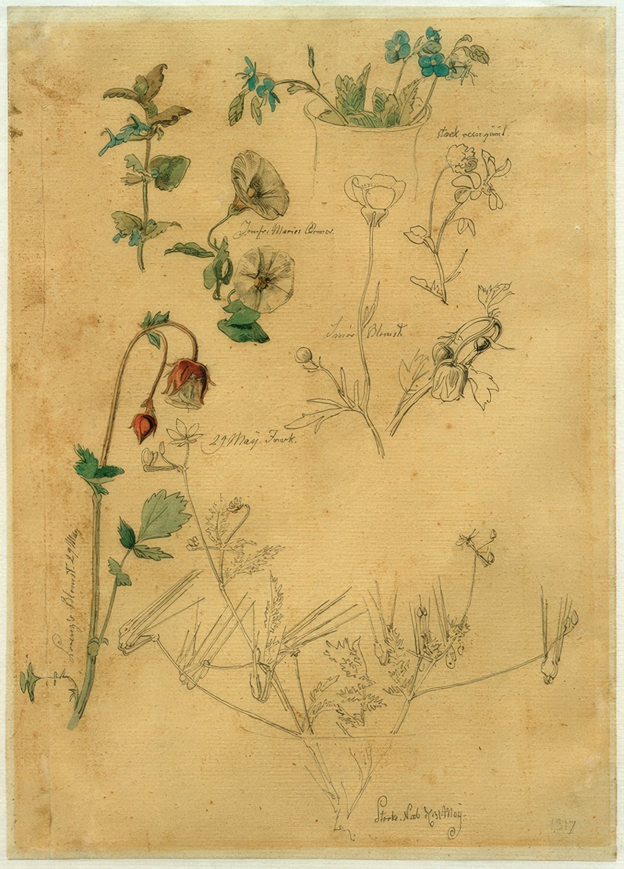 J. Th. Lundbye, Estudio de plantas de Johan Thomas Lundbye