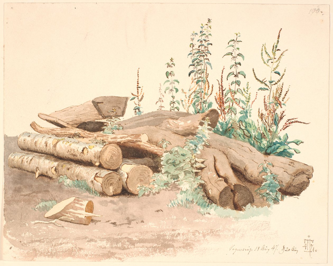Algunos troncos de árboles caídos, un abrevadero y varias plantas de Johan Thomas Lundbye