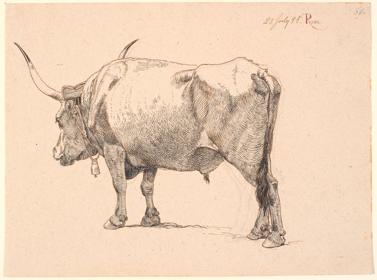 Toro romano con campana en el cuello, visto desde atrás de Johan Thomas Lundbye