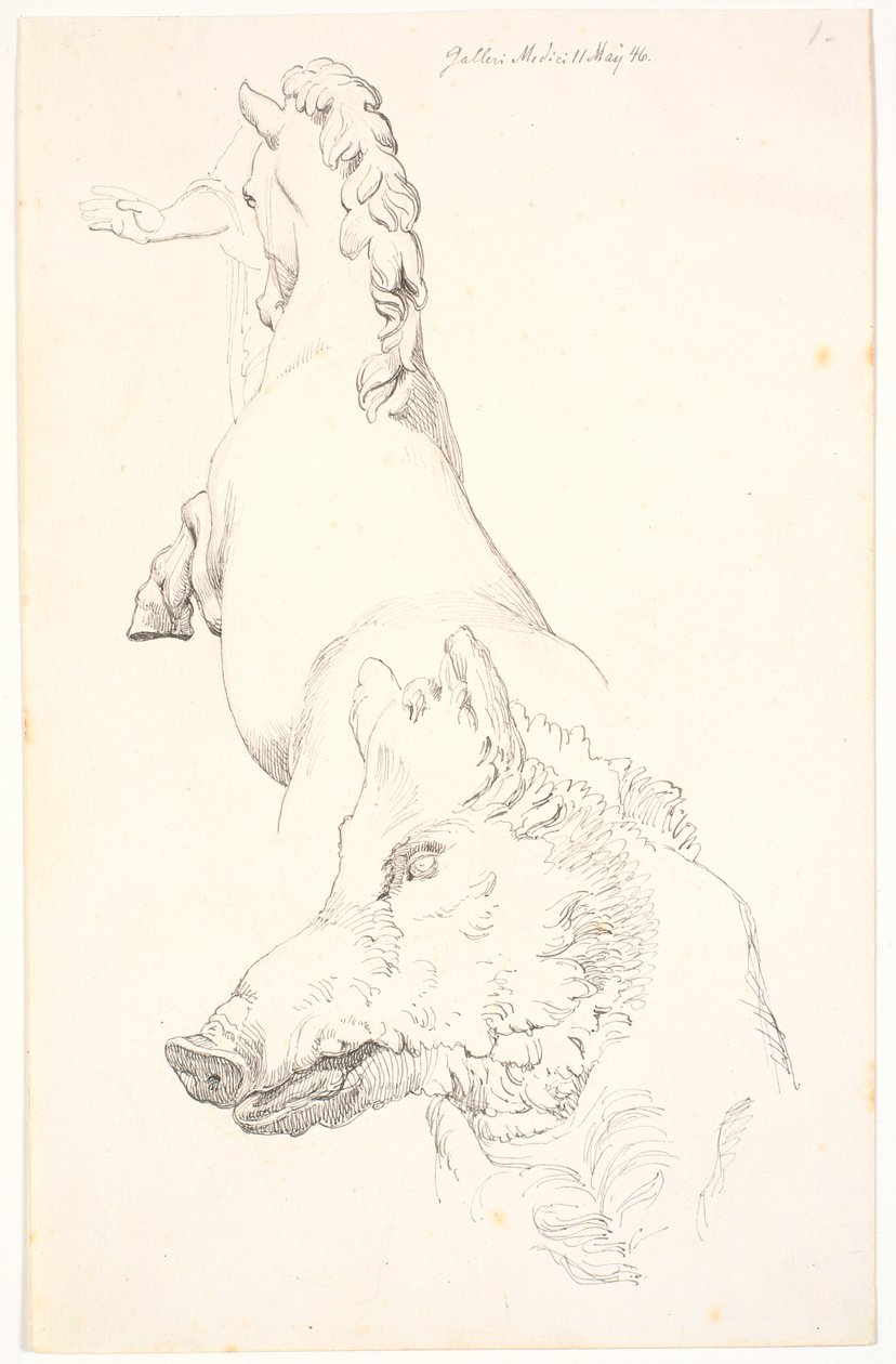 Estudio de esculturas antiguas: Cabeza de jabalí, torso de un caballo encabritado visto desde atrás y un brazo con drapeado de Johan Thomas Lundbye