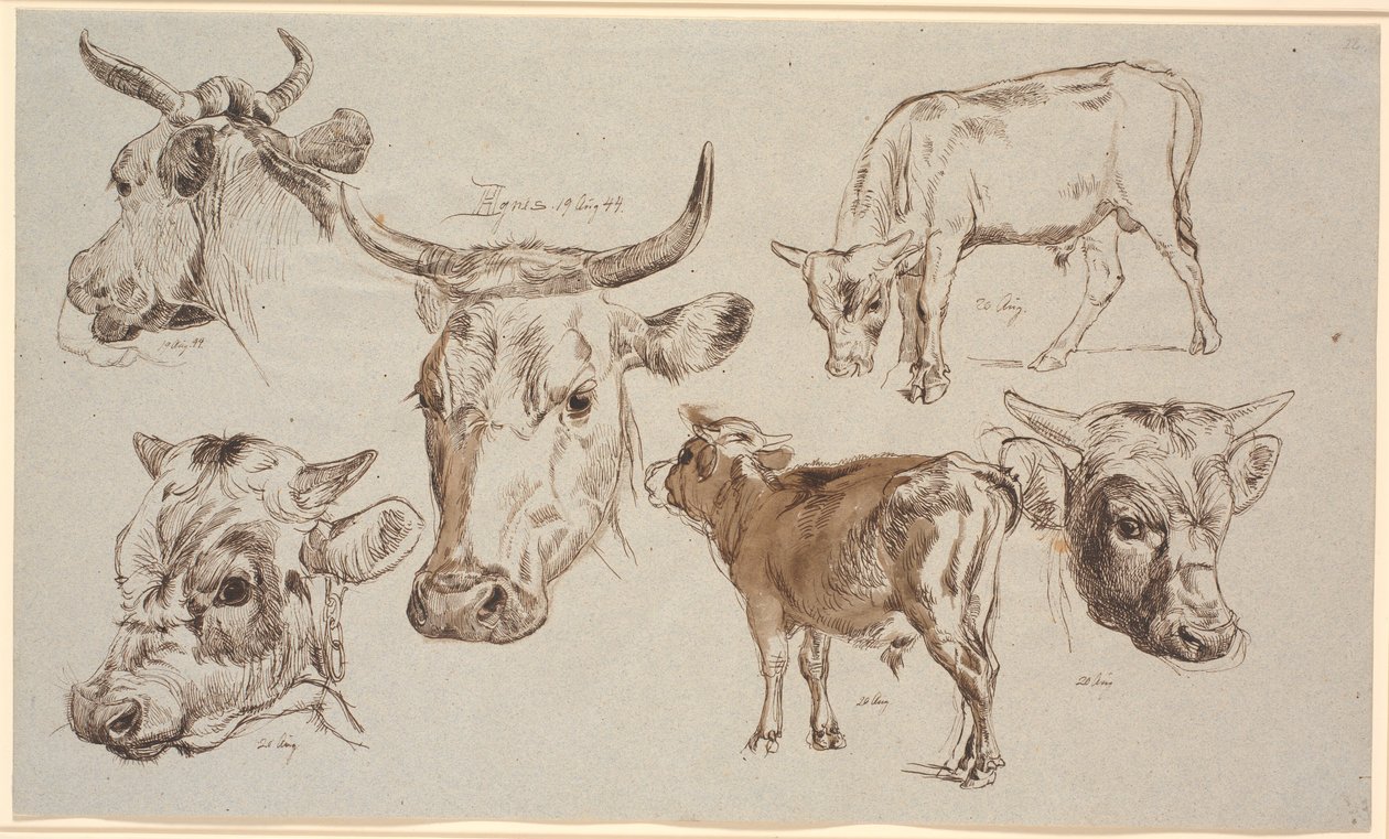 Hoja de estudio de Vognserup. Estudios de cabezas de vacas, terneros y sus cabezas de Johan Thomas Lundbye