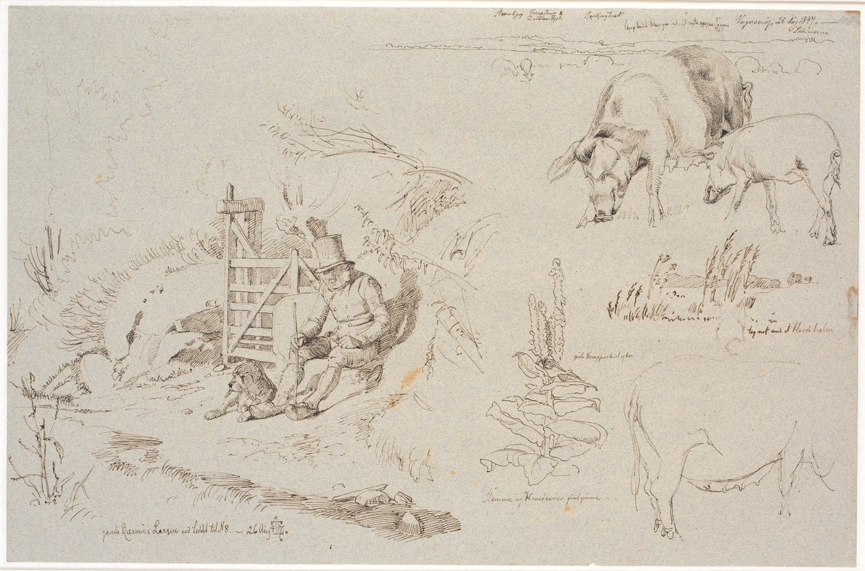Estudio de hoja de Vognserup. A la izquierda, un pastor (el viejo Rasmus Larsen) sentado con un perro junto a una puerta. En primer plano, un estudio de paisaje con nombres de lugares. Debajo, dos cerdos. A la derecha, un estudio de juncos en un lago. Deba de Johan Thomas Lundbye